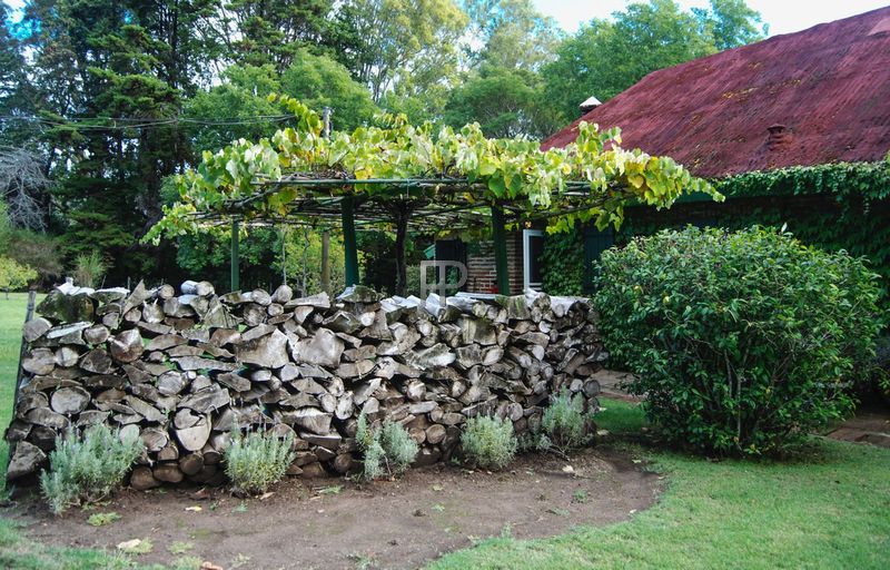 Gardens: stone fence