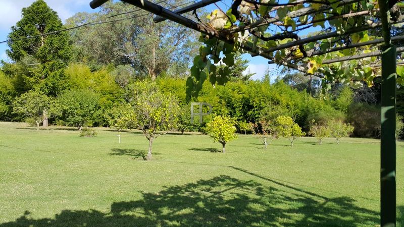 Gardens with fruit trees